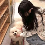 战争工厂手游下载